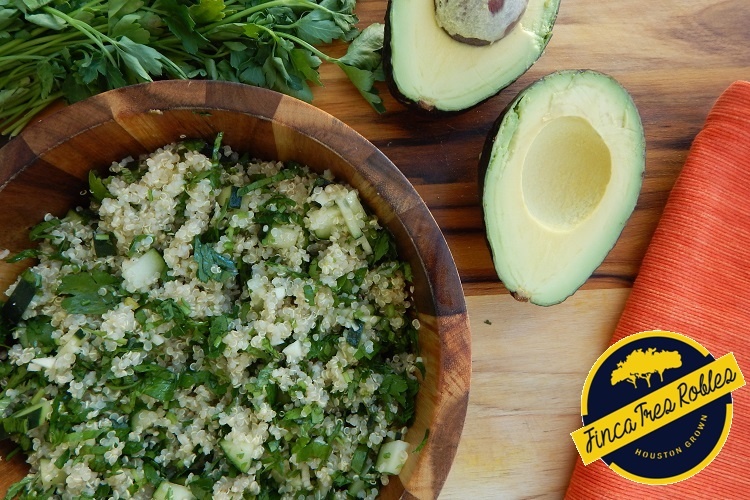 Brown Rice and Quinoa TXRX Labs